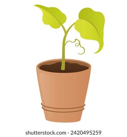 Pot with plant sprout. Seedling gardening plant. Seeds sprout in ground. Sprout, plant, tree growing agriculture icons. Vector hand draw flat illustration isolated on white background.