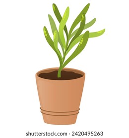 Pot with plant sprout. Seedling gardening plant. Seeds sprout in ground. Sprout, plant, tree growing agriculture icons. Vector hand draw flat illustration isolated on white background.