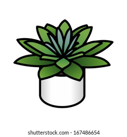 Pot plant: a succulent rosette.