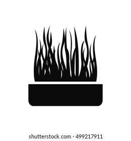 pot with a plant vector icon