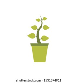 pot plant vector icon isolated on a white background