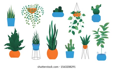 Pot plant vector set. Decorative hanging houseplant, indoor basket fern, design template for potting tree urban garden