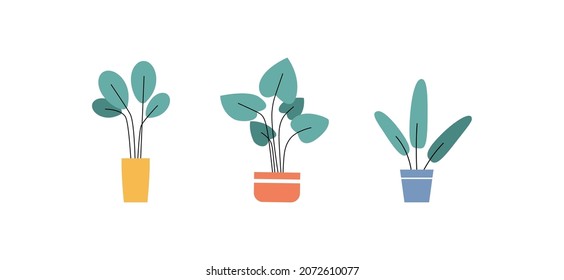 Pot plant vector set. Houseplant minimalistic style collection. Decorative plants for home and office isolated on white background.