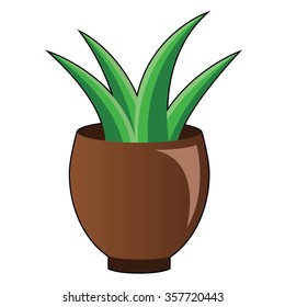 Pot Plant in White Background