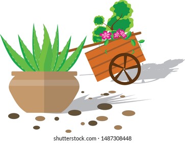 Pot planted with aloe vera Behind the wheel are trees.