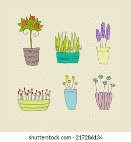 pot plants with flowers and leaves