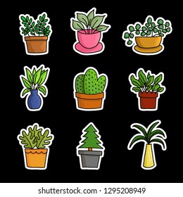 pot plants garden collection