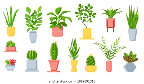 Pot plants. House tropical leaves, tree, succulents and cactus. Urban jungle, home green garden in flowerpots. Cartoon houseplant vector set. Succulent cactus, houseplant for decoration interior