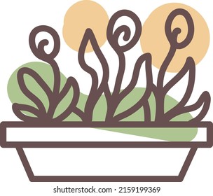 Pot with plants, illustration, vector on a white background.