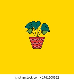 Pot plants indoor decoration vector illustration 