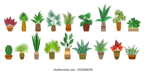 Pot plants interior decorations. Home gardening plant set on white background, indoor potted plantings design collection, urban jungle house planters decor elements