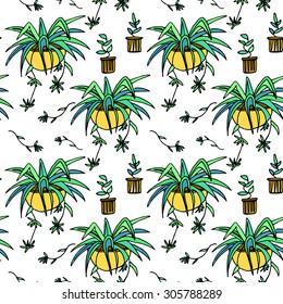 Pot plants seamless pattern, hand-drawn design elements, vector illustration