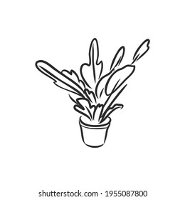Pot plants set, vector illustration flowers in pots drawn black line on a white background, hand-drawn design elements.