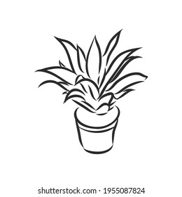 Plantas de maceta puestas, flores de ilustración vectorial en macetas dibujadas línea negra sobre un fondo blanco, elementos de diseño dibujados a mano.
