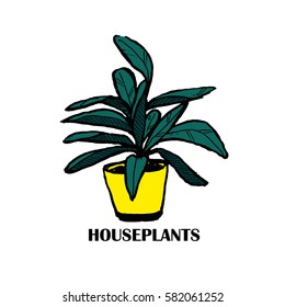 Pot plants, vector illustration flowers in pot drawn black line on a white background, hand-drawn design elements.