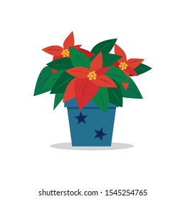 A pot of poinsettia for chriatmas or new year.