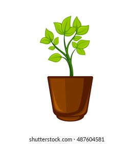 Pot room plant with flower and leave . Vector illustration. Isolated on white.