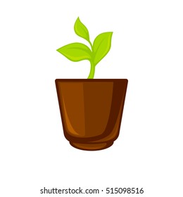 Pot room plant with flower and leave . Vector illustration. Isolated on white.