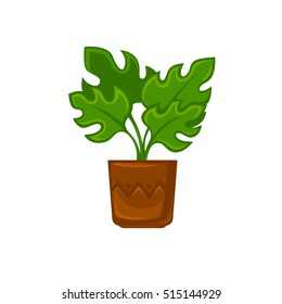 Pot room plant with flower and leave . Vector illustration. Isolated on white.