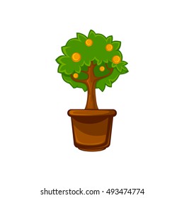 Pot room plant with flower and leaves . Vector illustration. Isolated on white.