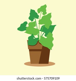 Houseplant’s in pot with silhouette for indoor decoration. 