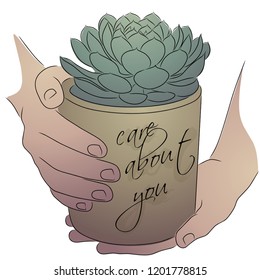 Pot with a succulent in hands