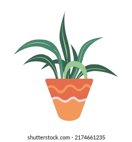 Pot with succulent, home garden, indoor trees. Potted plant. Vector illustration for interior, botany, house decoration