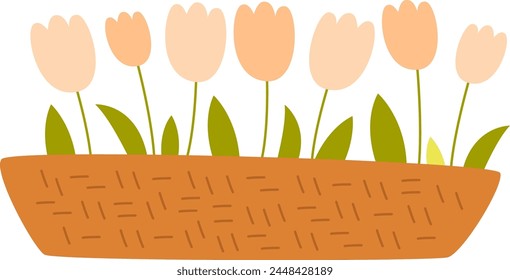 Pot With Tulip Flowers Vector Illustration