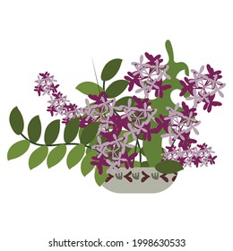 pot vase of flowers lilac spring flowers