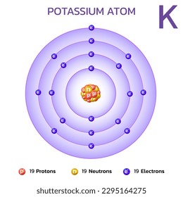 Potassium atomic structure.Consists of 19 protons and 19 electrons and 19 neutrons.