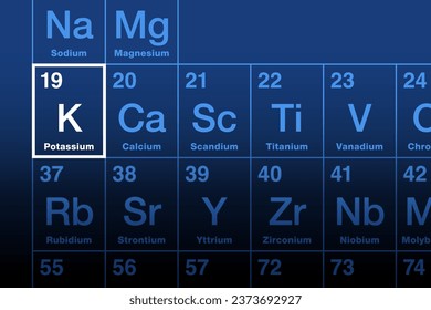 Potassium element on the periodic table. Alkali metal with element symbol K from kalium, and with atomic number 19. Essential for all living cells. Good sources are fresh fruits and vegetables. Vector