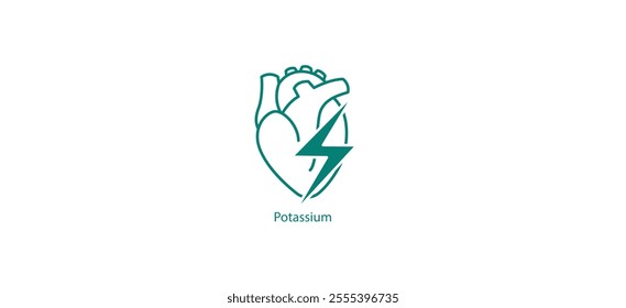 Potassium Icon: Potassium Vector Icon - Vital Electrolyte for Heart and Muscle Function