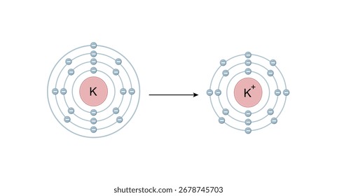 Potassium ion. Cation Structure, positively charged ion. Scientific Design. Vector Illustration.	