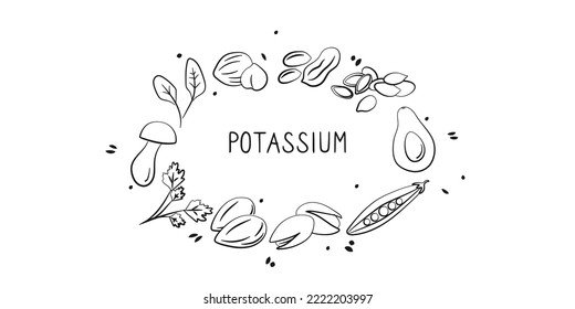 Potassium-containing food. Groups of healthy products containing vitamins and minerals. Set of fruits, vegetables, meats, fish and dairy