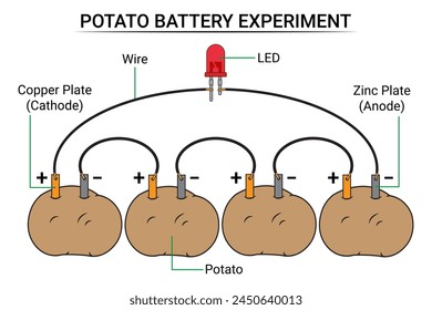 Batería de patata y led - Batería electroquímica