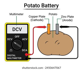 Batería de patatas y multímetro - Batería electroquímica