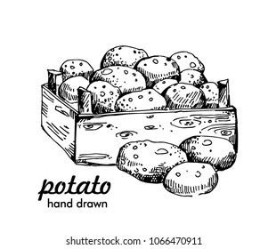 potato box hand drawn vector illustrations