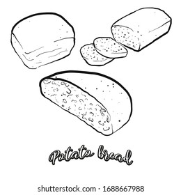 Potato bread food sketch separated on white. Vector drawing of Leavened or unleavened, usually known in America. Food illustration series.