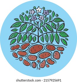 Potato bush pattern with tubers