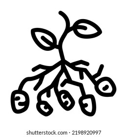 potato bush plant line icon vector. potato bush plant sign. isolated contour symbol black illustration