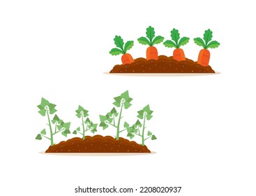 Potato and carrot harvest clipart