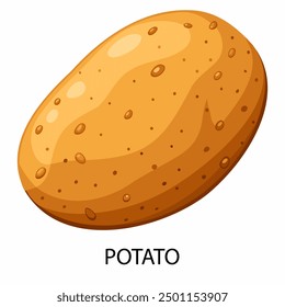 Potato in cartoon style on a white background. Vector illustration.