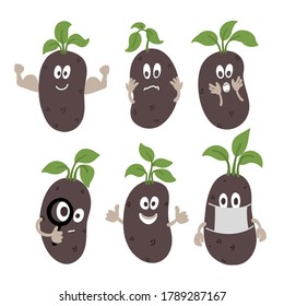 Potato character set. Live cute vegetable. Diversity many expressions emotions. Cartoon sketch. Growing agriculture.