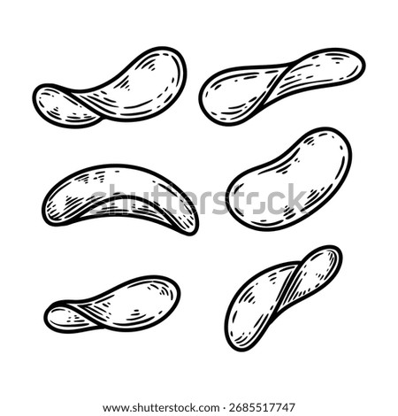 potato chip set hand drawn vector illustrations