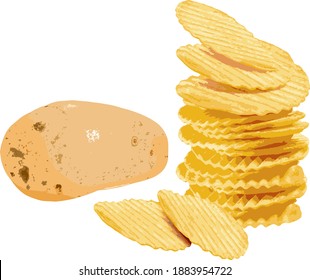 Potato chips with Potato, 3D illustration Vector.