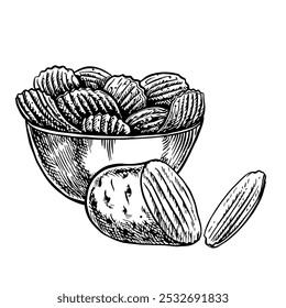 Kartoffelchips in einer Schüssel. Vektorgrafiken mit geriffelten Chips und geschnittenen Kartoffeln. Handgezeichnete Illustration in Schwarz-Weiß. Auf weißem Hintergrund. Ideal für Labels, Banner, Poster.