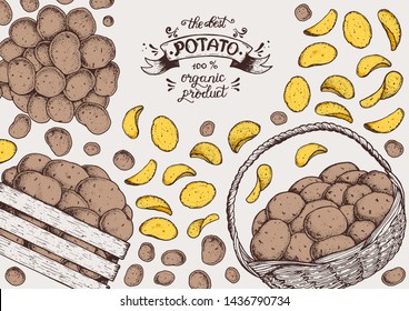 Potato chips illustration. Potato crisps vector illustration. Box and bag of potatoes. Rustic potatoes and chips hand drawn. Packaging design.