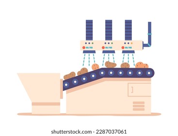 Potato Chips Manufacturing Process. Ripe Fresh Vegetable Tubers Washing on Factory Conveyor Belt Vector Illustration