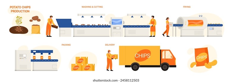 Potato chips production, infographic process in food industry. Stages of harvesting, washing and cutting, frying snack and packaging on conveyor, delivery to store cartoon vector illustration