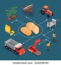 Potato chips production isometric composition with flowchart of isolated images with people machinery plants and chips vector illustration